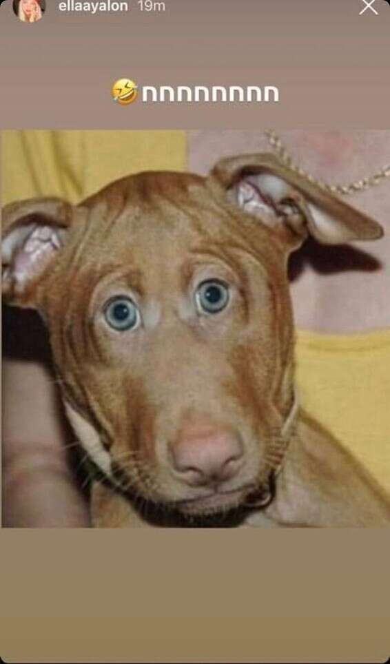 הסטורי המכוער שהוסר // צילום: מתוך האינסטגרם